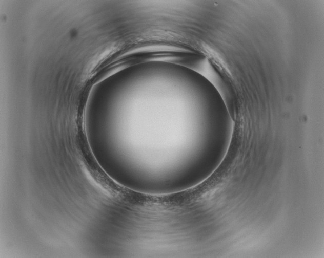 X0000088830538200706071357