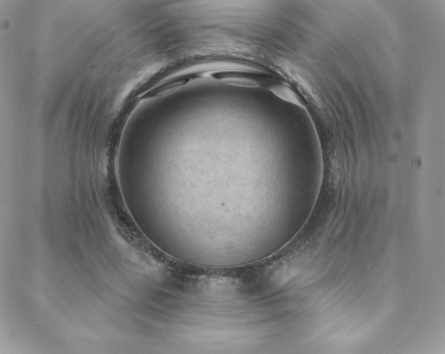 X0000088830539200706071357