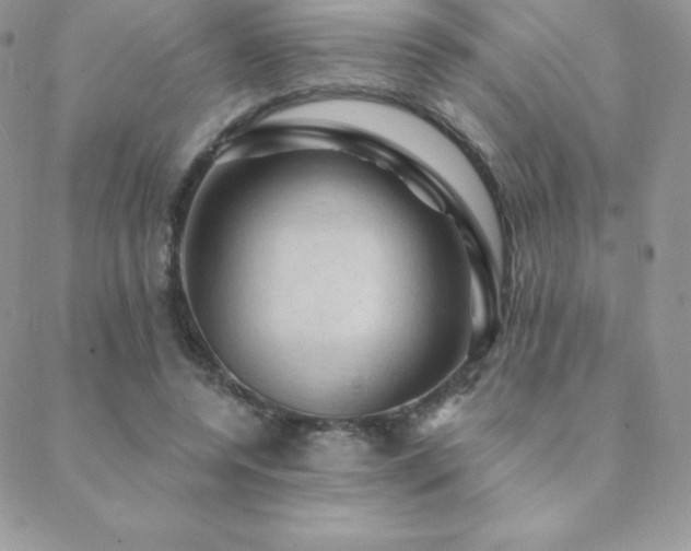 X0000088830544200706071358