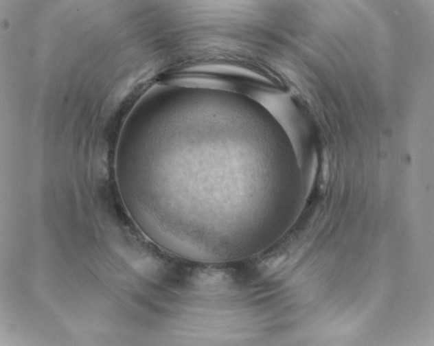 X0000088830547200706071358