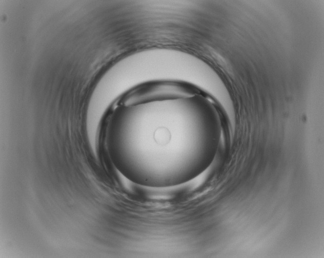 X0000088830552200706071358