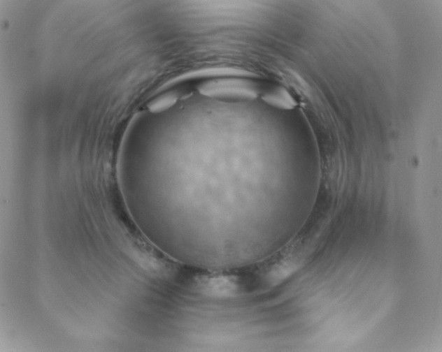 X0000088830553200706071358