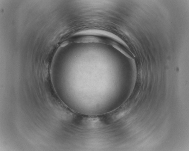 X0000088830554200706071358