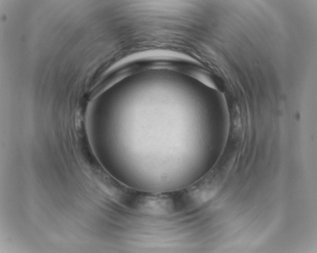 X0000088830555200706071358