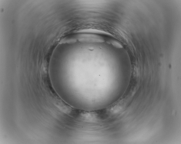 X0000088830561200706071358