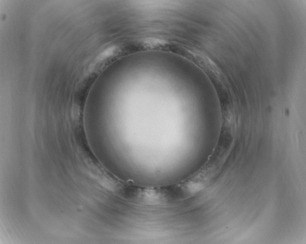 X0000088830565200706071358