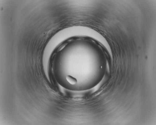 X0000088830570200706071358