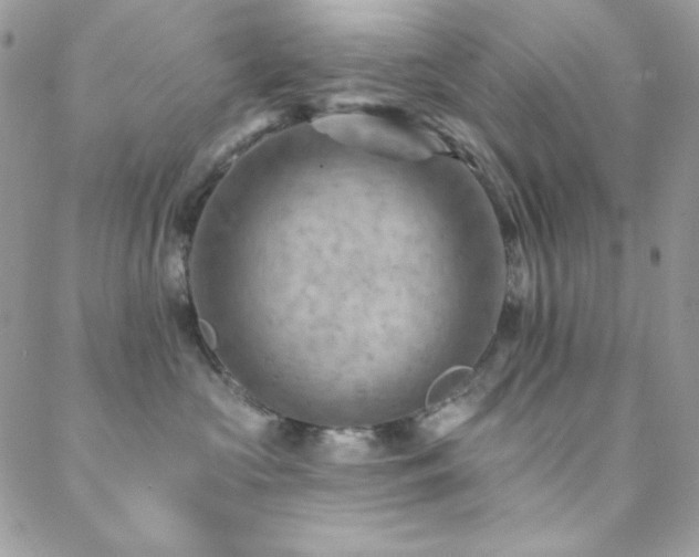 X0000088830573200706071358