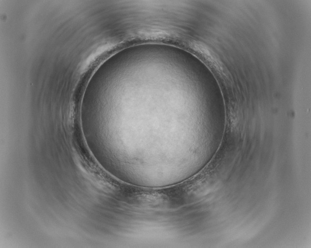 X0000088830583200706071357