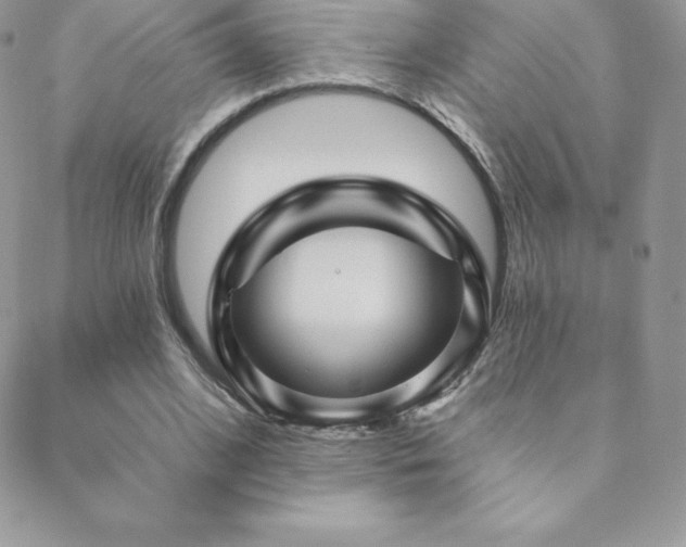 X0000088830584200706071357
