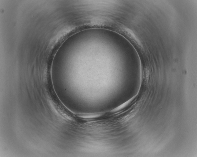 X0000088830588200706071357