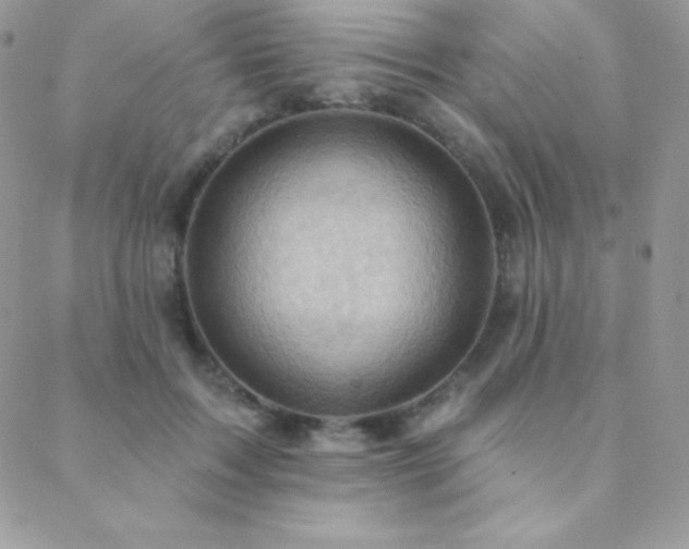 X0000088830603200706071357