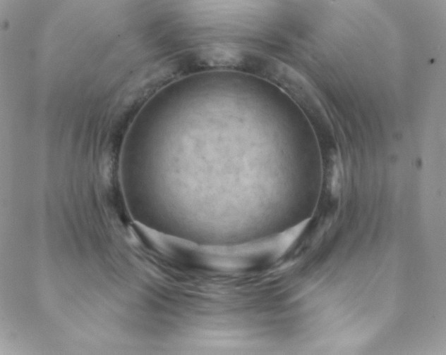 X0000088830604200706071357