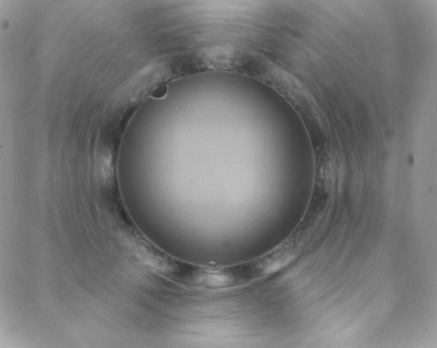 X0000088830610200706071357