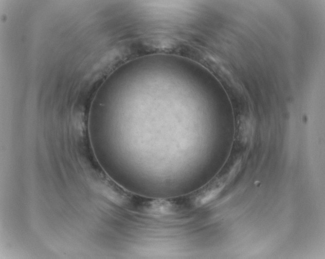 X0000088830612200706071357