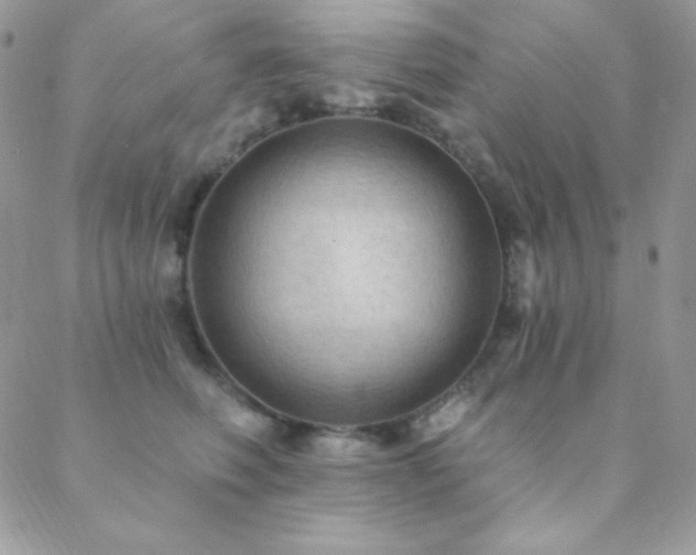 X0000088830614200706071357