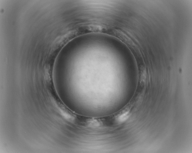 X0000088830616200706071357