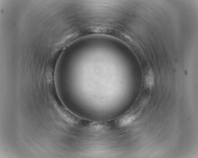 X0000088830620200706071357