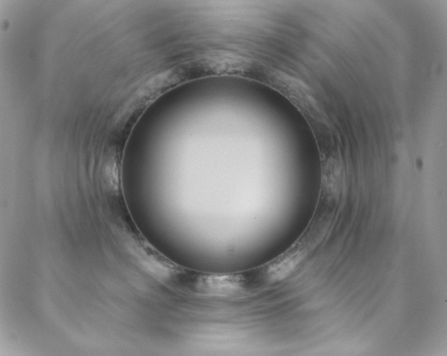 X0000088830622200706071357