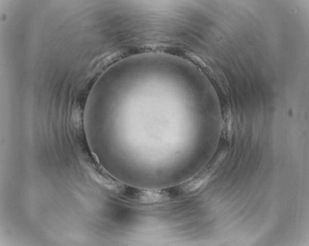 X0000088830623200706071357