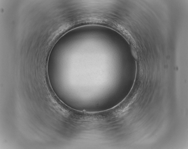 X0000088830625200706071356