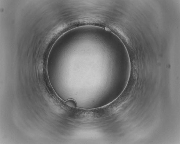 X0000088830631200706071356