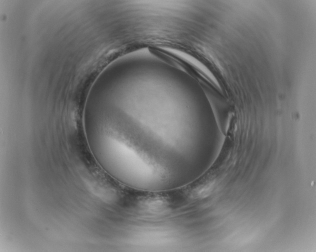 X0000088830643200706071356