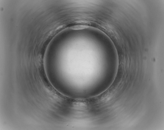 X0000088830649200706071356