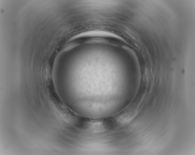 X0000088830651200706071356