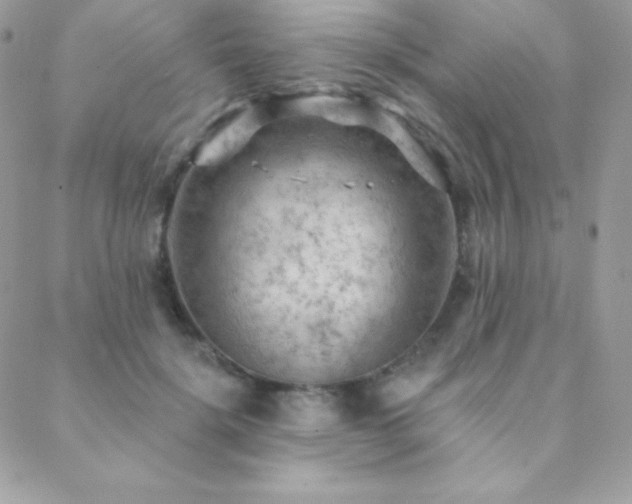 X0000088830652200706071356