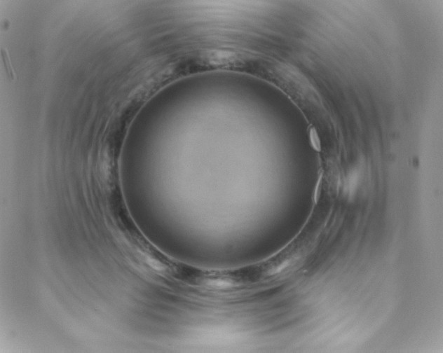 X0000088830653200706071356