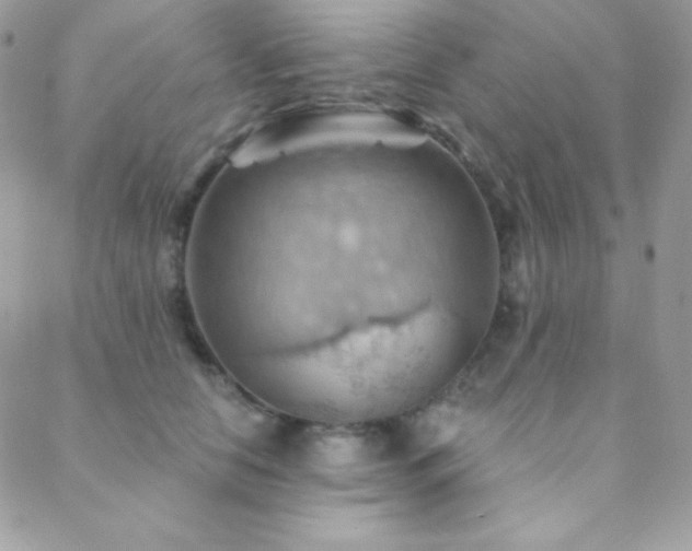 X0000088830658200706071356
