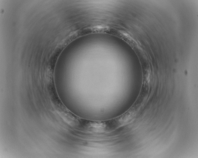 X0000088830659200706071356