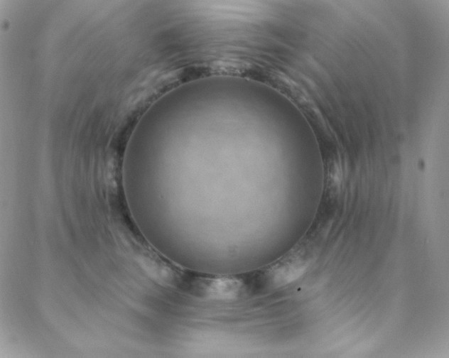 X0000088830663200706071356