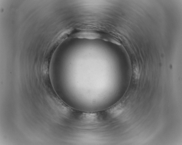 X0000088830665200706071356