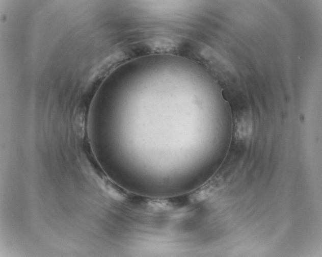 X0000088830666200706071356