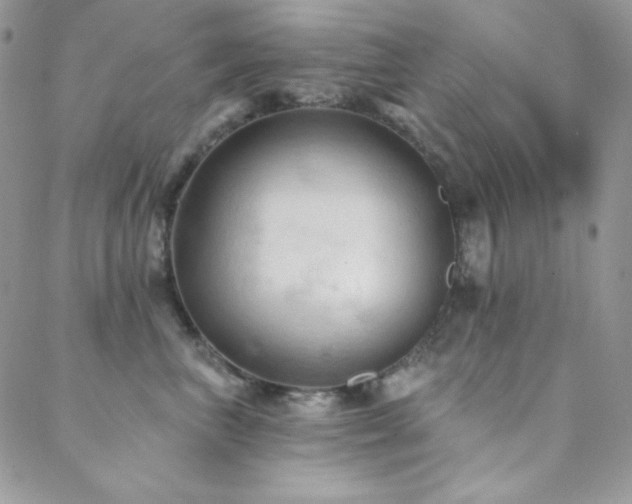 X0000088830667200706071356