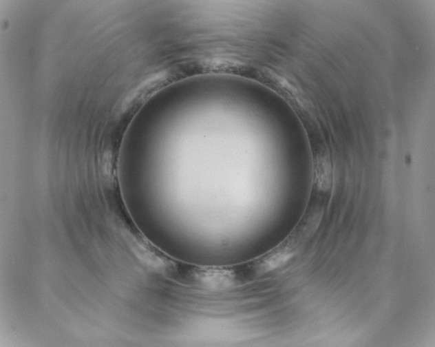 X0000088830670200706071356