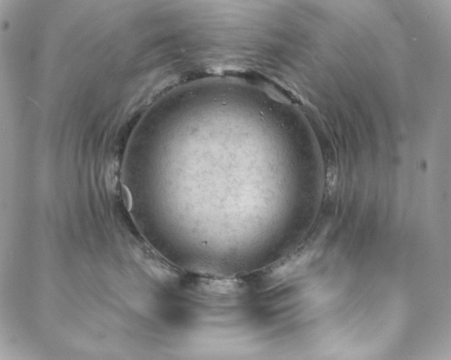 X0000088830671200706071356