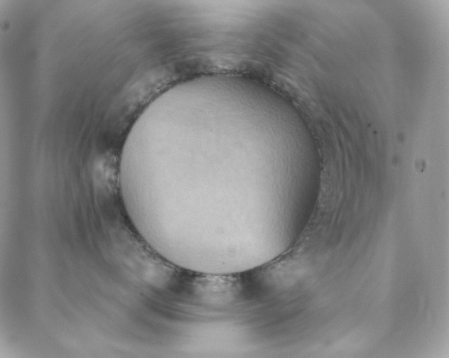 X0000088830672200706071357