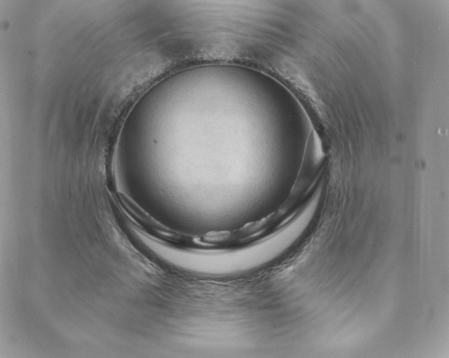 X0000088830681200706071356