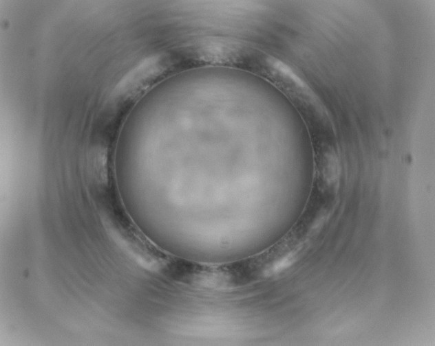 X0000088830696200706071355
