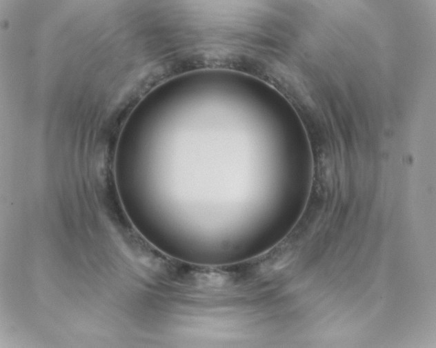X0000088830698200706071355