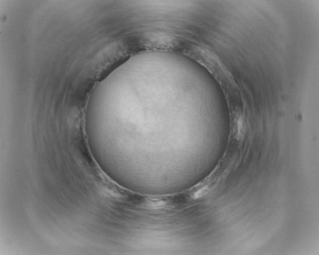 X0000088830701200706071355