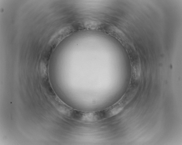 X0000088830705200706071355