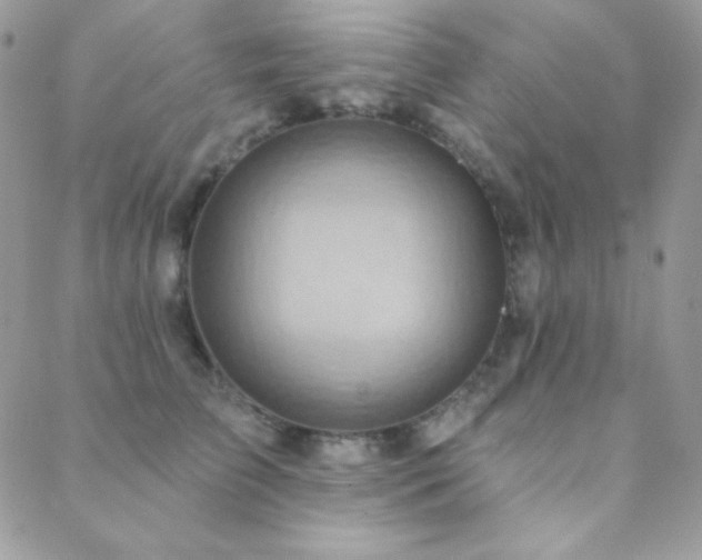X0000088830709200706071355