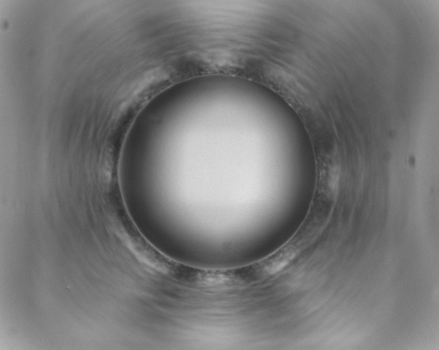 X0000088830710200706071355
