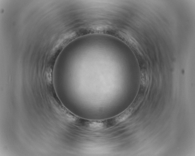 X0000088830718200706071355