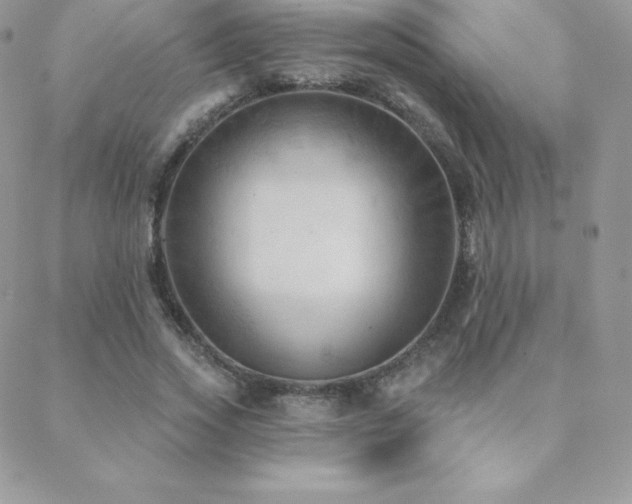 X0000088830733200706071354