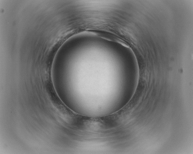 X0000088830743200706071355